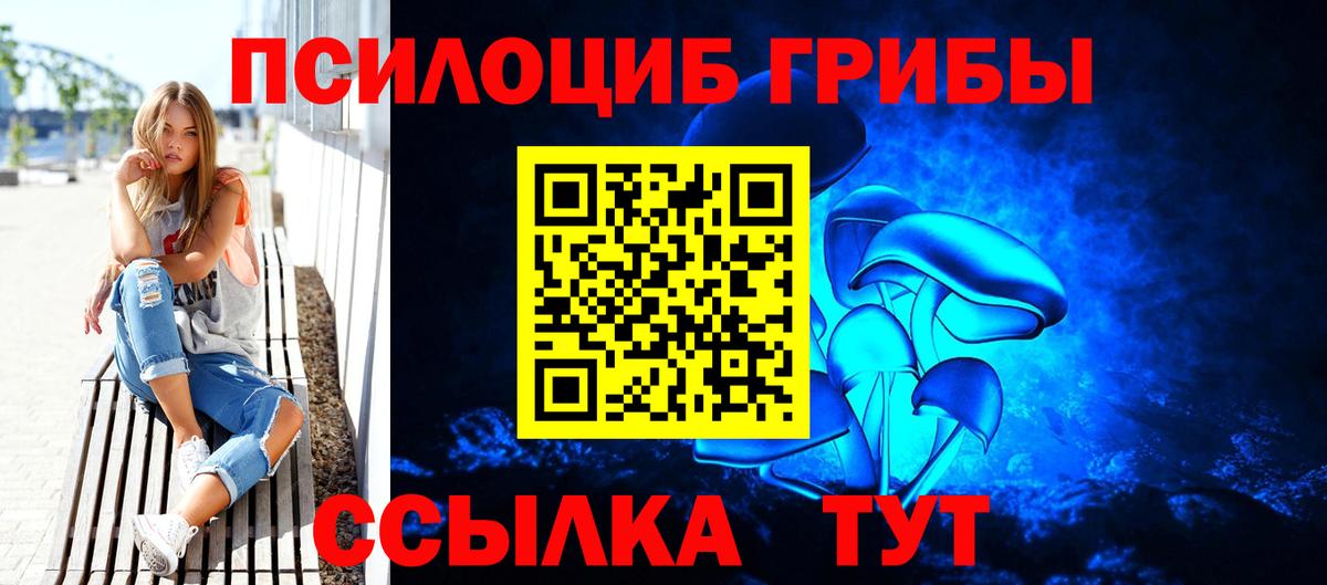Галлюциногенные грибы Magic Shrooms  Вход с VPN  Псилоцибиновые грибы Psilocybe  Моздок 
